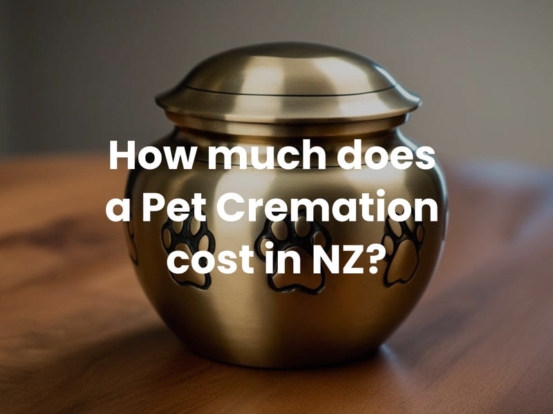 Understanding Pet Cremation Costs in New Zealand