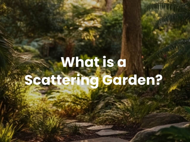 What is a Scattering Garden?