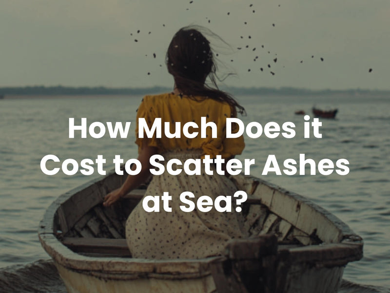 How Much Does It Cost to Scatter Ashes at Sea in New Zealand?